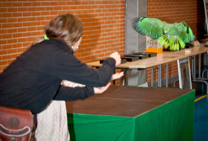 Semana Ciencias en Los Tilos